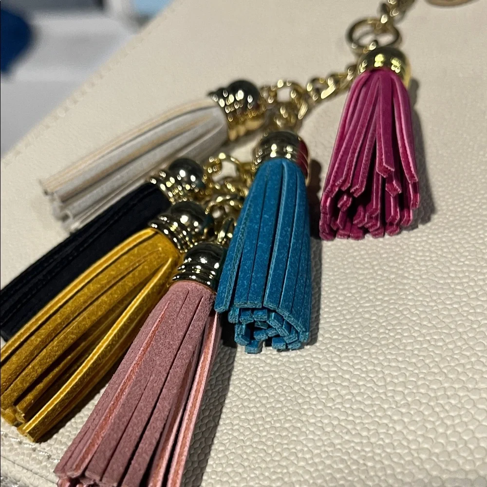 Keychain purse chain purse charm Multicolor Tassel Keychain